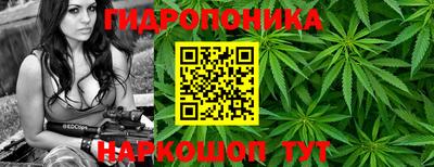Альфа ПВП Тара