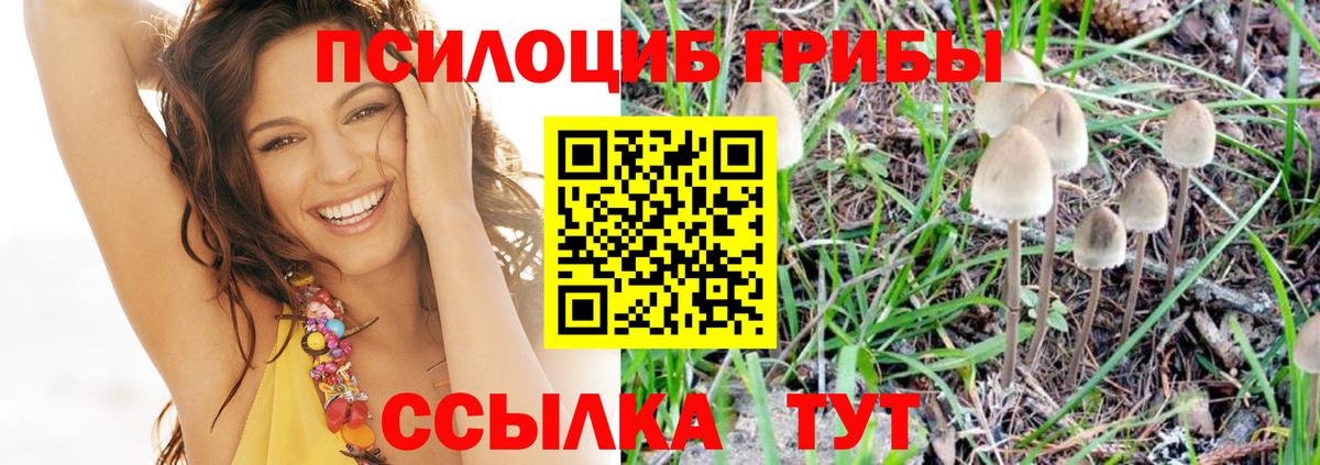 Орск  Псилоцибиновые грибы GOLDEN TEACHER  Псилоцибиновые грибы Magic Shrooms  Вход с VPN 