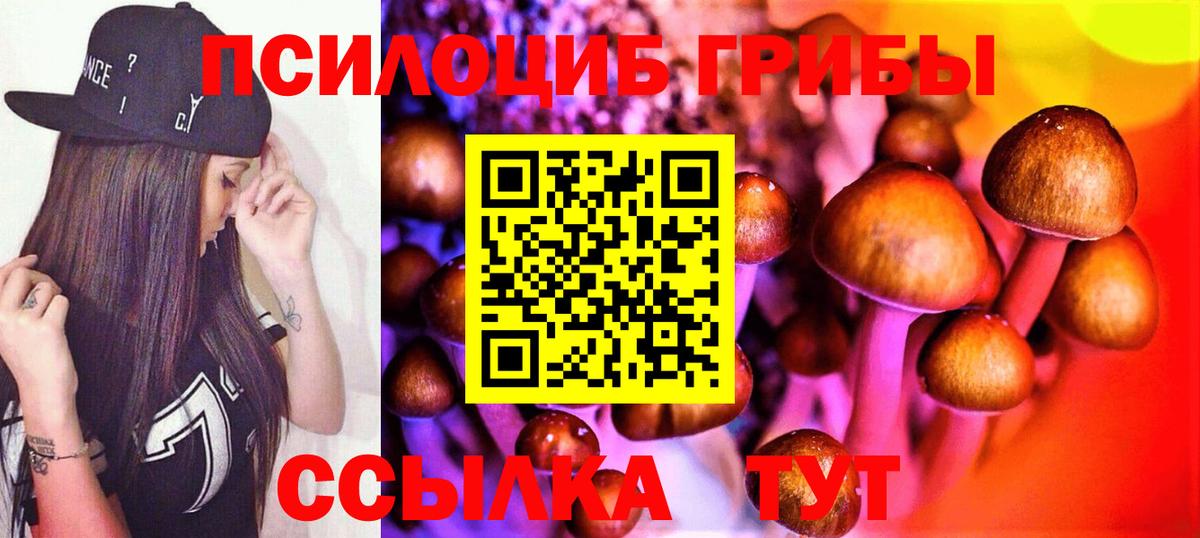 Галлюциногенные грибы прущие грибы Орск